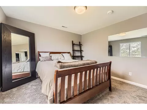 17059 Motsenbocker Way, Parker, CO 80134 photo 30