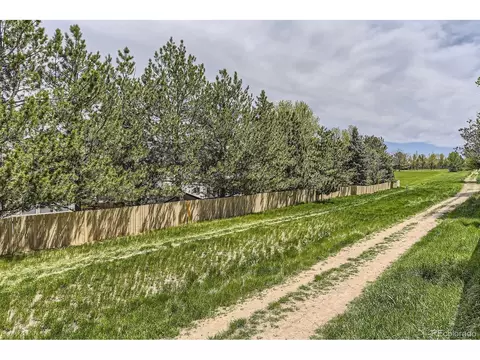 17059 Motsenbocker Way, Parker, CO 80134 photo 37