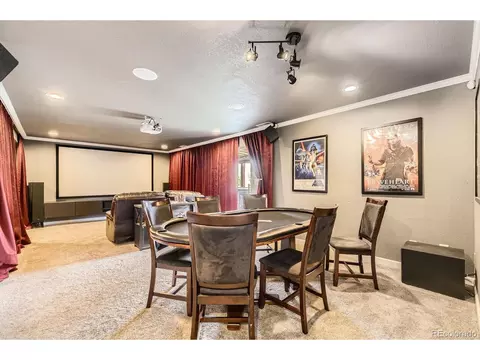 17059 Motsenbocker Way, Parker, CO 80134 photo 25