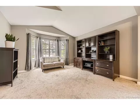 17059 Motsenbocker Way, Parker, CO 80134 photo 10