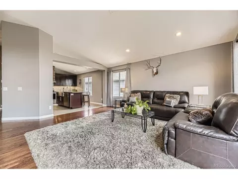 17059 Motsenbocker Way, Parker, CO 80134 photo 14