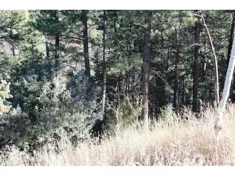 Pine Slope Rd, Idaho Springs, CO 80452