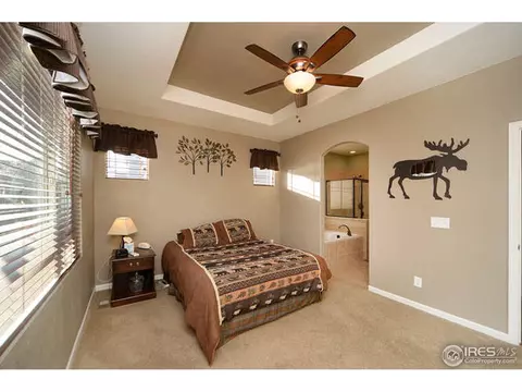 7982 E 131st Pl, Thornton, CO 80602 photo 11