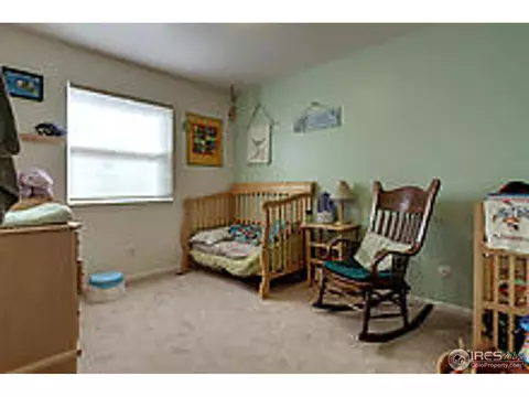 2913 Galway Dr, Laporte, CO 80535 photo 19