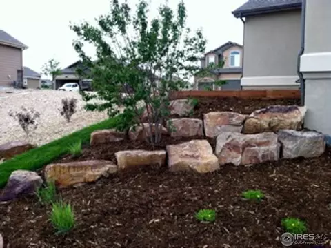 7412 Ladbroke Dr, Windsor, CO 80550 photo 19