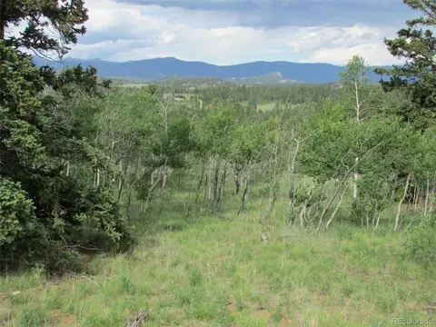 250 Wikiup Cir, Como, CO 80432 photo 14