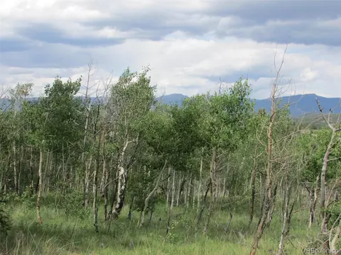 250 Wikiup Cir, Como, CO 80432 photo 15