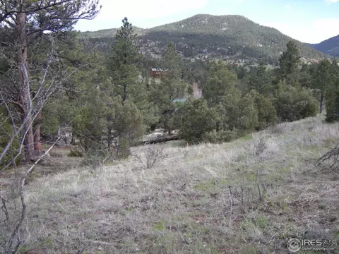 271 Cree Ct, Lyons, CO 80540 photo 1