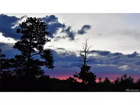 798 Hawk Way, Como, CO 80432 photo 3
