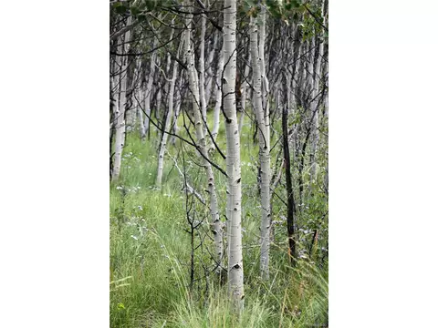 798 Hawk Way, Como, CO 80432 photo 4