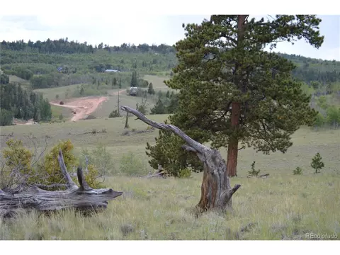 798 Hawk Way, Como, CO 80432