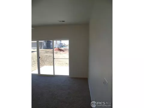904 Glenbrook Ct, Windsor, CO 80550 photo 11