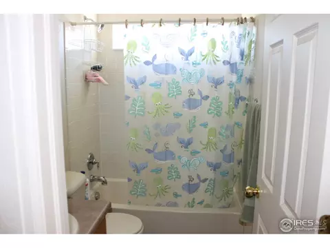 7226 Foothill St, Frederick, CO 80504 photo 18