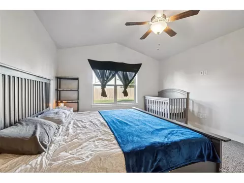 1123 Johnson St, Wiggins, CO 80654 photo 28