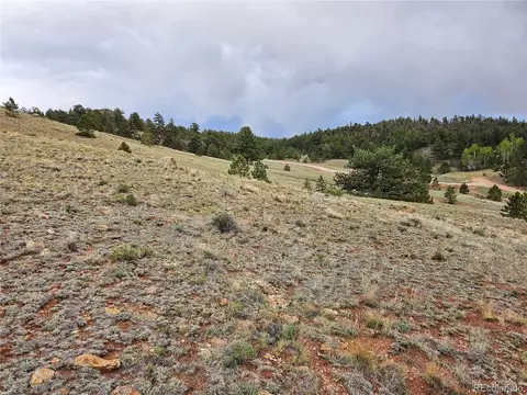 Fernando Trl, Hartsel, CO 80449 photo 31