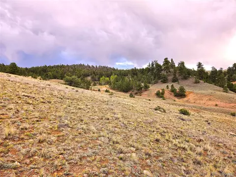 Fernando Trl, Hartsel, CO 80449 photo 24