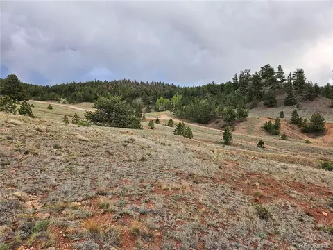 Fernando Trl, Hartsel, CO 80449 photo 30