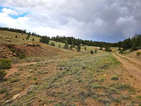 Fernando Trl, Hartsel, CO 80449 photo 10