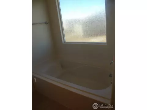481 Kendalbrook Dr, Windsor, CO 80550 photo 16