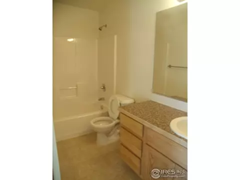 481 Kendalbrook Dr, Windsor, CO 80550 photo 13