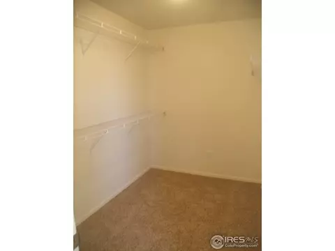 481 Kendalbrook Dr, Windsor, CO 80550 photo 18