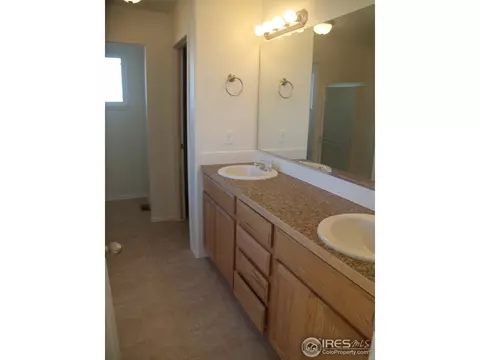481 Kendalbrook Dr, Windsor, CO 80550 photo 15