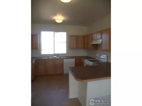481 Kendalbrook Dr, Windsor, CO 80550 photo 6