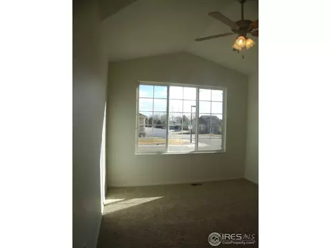 481 Kendalbrook Dr, Windsor, CO 80550 photo 4
