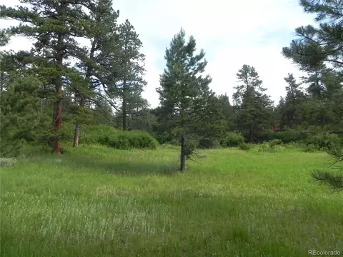 8448 Crow Pl, Larkspur, CO 80118