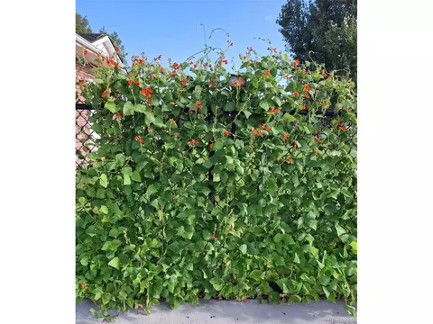 Other - 200 E 6th St, Flagler, CO 80815 photo 12 of 13