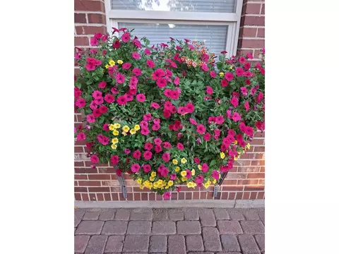 Other - 200 E 6th St, Flagler, CO 80815 photo 11 of 13