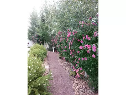 9048 Shenandoah Ave, Frederick, CO 80504 photo 25