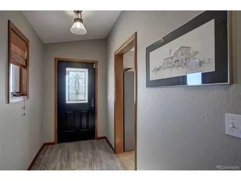 181 Turkey Ln, Bailey, CO 80421 photo 6
