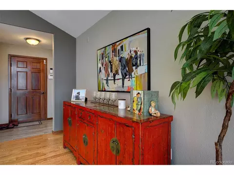 181 Turkey Ln, Bailey, CO 80421 photo 7