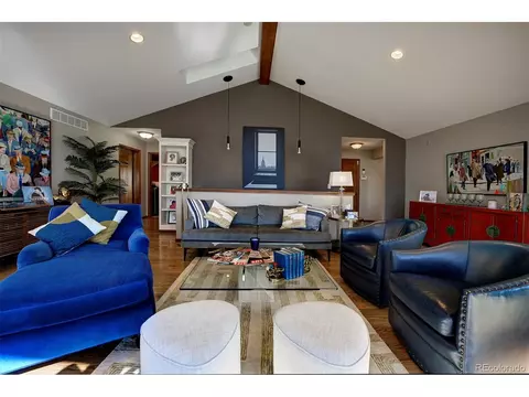 181 Turkey Ln, Bailey, CO 80421 photo 19