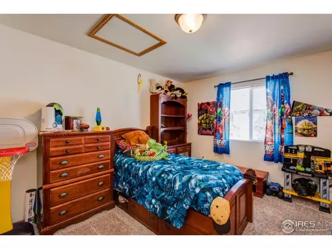 771 2nd St, Windsor, CO 80550 photo 18