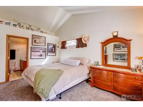 771 2nd St, Windsor, CO 80550 photo 14