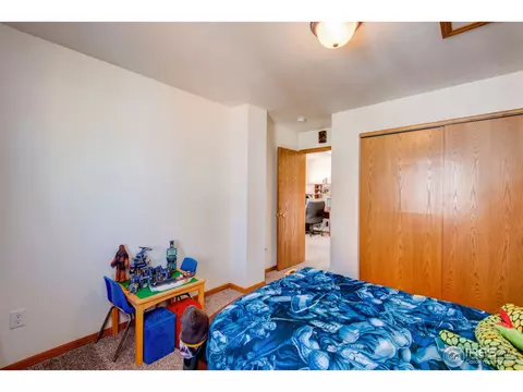 771 2nd St, Windsor, CO 80550 photo 19