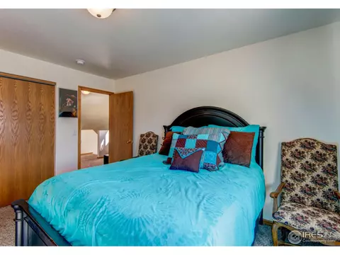771 2nd St, Windsor, CO 80550 photo 21