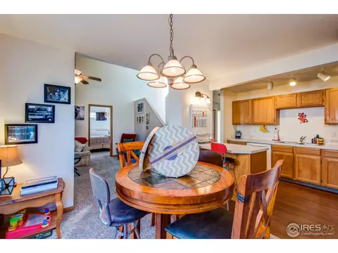 771 2nd St, Windsor, CO 80550 photo 5