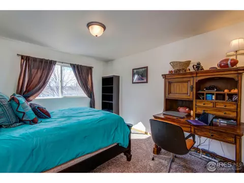 771 2nd St, Windsor, CO 80550 photo 20