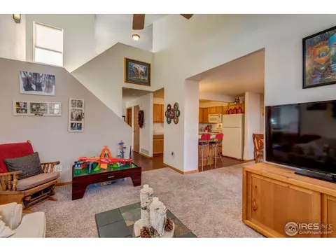771 2nd St, Windsor, CO 80550 photo 11
