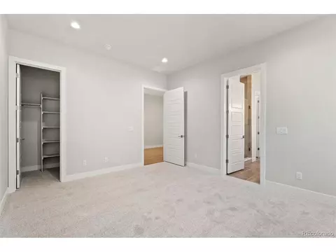 1734 Beachside Dr, Windsor, CO 80550 photo 9