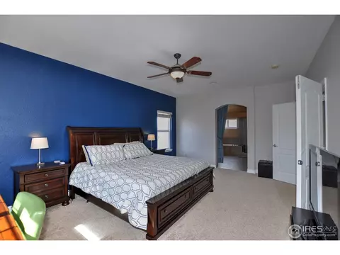 8107 Islander Ct, Windsor, CO 80528 photo 18