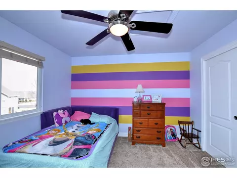 8107 Islander Ct, Windsor, CO 80528 photo 21