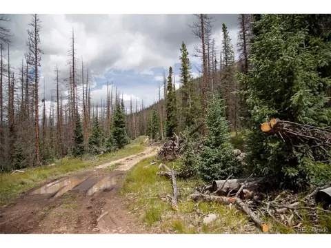 tbd Forest Rd 503, Creede, CO 81130