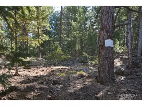 888 Alaska Rd, Boulder, CO 80302 photo 8