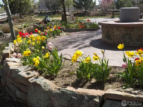 6884 Sage Ave, Firestone, CO 80504 photo 36