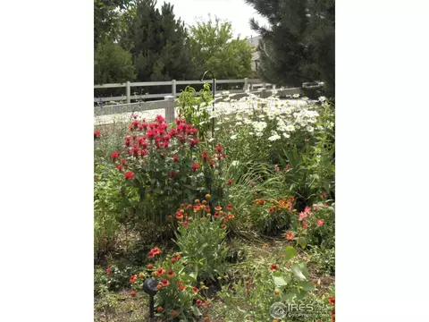 6884 Sage Ave, Firestone, CO 80504 photo 39