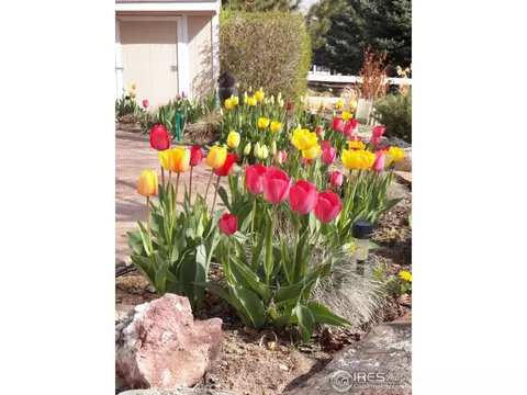 6884 Sage Ave, Firestone, CO 80504 photo 38
